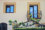 vivienda en bellvei